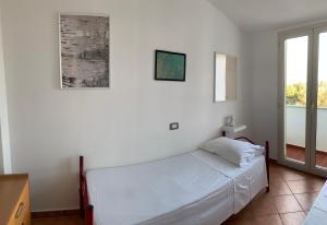 Delfino img17