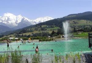 Appartements Gite cosy au calme proche de Chamonix et Megeve : photos des chambres