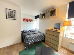 Appartements Studio zone pietonne a Saverne : photos des chambres