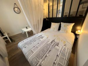 Appartements Grand studio de charme centre ville proche Cathedrale, option parking : photos des chambres