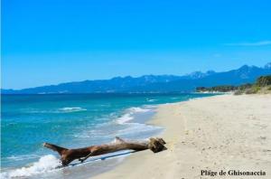 Appartements Vista Mare Ghisonaccia : photos des chambres