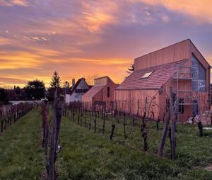 Maisons de vacances Le cepage, au coeur des vignes. : photos des chambres