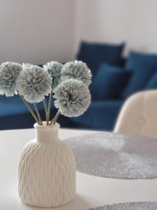 Modern & cozy apartment near hockey & football arena