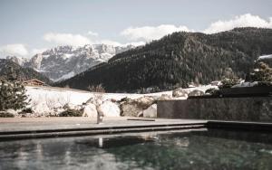 Luxury Chalet Alpurio