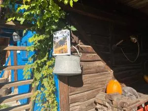 Casa de vacanta traditionala La Fanar - Bertea