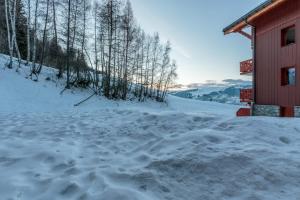 Maisons de vacances Beautiful wooden chalet in La Plagne : photos des chambres