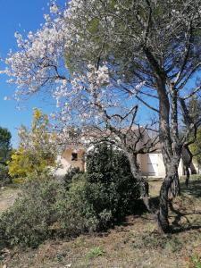 Maisons de vacances Les romarins : photos des chambres