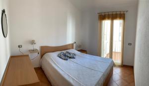 Corallo img18