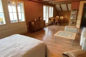 Lakeview Studio - Krattigen