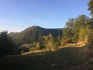 Maisons de vacances MAISON CALME ET LUMINEUSE OUVERTE SUR LA NATURE : photos des chambres