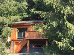 Chalet dans les Arbres