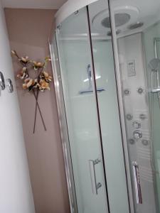 B&B / Chambres d'hotes La salicorne : photos des chambres