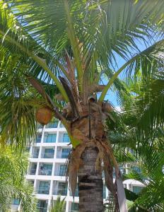 LAGUNA INFINITY MALDIVES