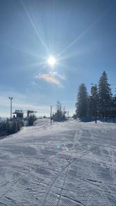 Tahko Chalet B 601