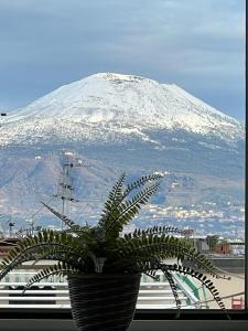Vesuvio Apartment