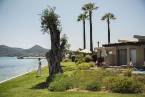 Miramare Beach, Moraitika 490 84, Corfu, Greece.