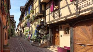 Appartements Remparts de Riquewihr - Le Colombier : photos des chambres