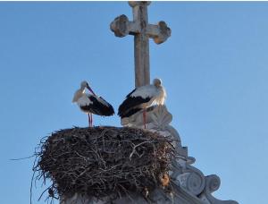 OlhãOmirante Guesthouse