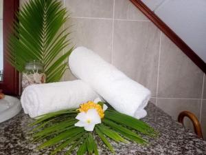 Badamier Self-Catering