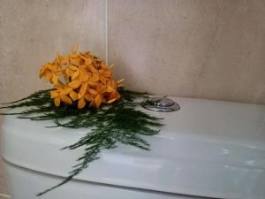 Badamier Self-Catering