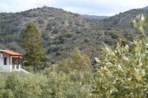 Villa Karmilos - A family Villa near the cretan sea and the mountains