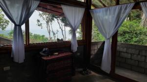 Hostería Mar e iguana