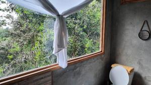 Hostería Mar e iguana