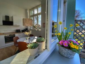 City-Apartment für Genießer mit schöner Terrasse