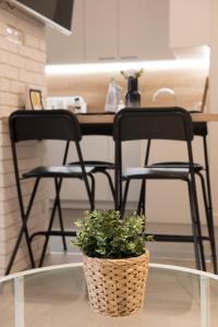 Top Center Designer Studio Apartment