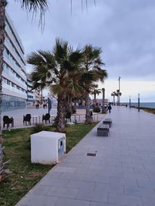 Evita Luxury Apartments - Near Playa Los Locos Beach with Pool