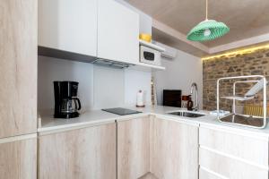 Erizo 4 Estudio en el Centro Histórico