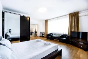 Studio Aviatiei - 沃伦塔里