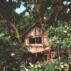 Mizuno San's Tree House - Ssangyŏn-ni