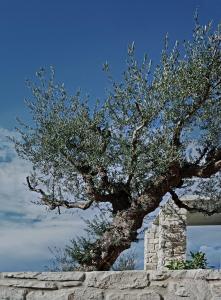 Camvillia Resort Messinia Messinia Greece