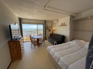 Charmant studio climatisé avec wifi et parking à 100m de la plage - FR-1-106-51