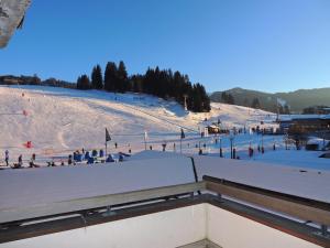 Charmant T2 près pistes, Les Gets, balcon, parking, wifi - FR-1-598-135