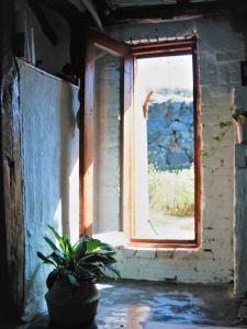 Bada Namu House 바닷가나무집