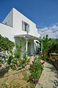 Villa Delona Naxos Greece