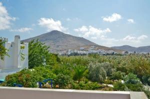 Villa Delona Naxos Greece