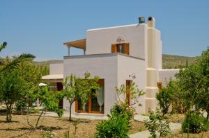 Villa Delona Naxos Greece