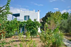 Villa Delona Naxos Greece