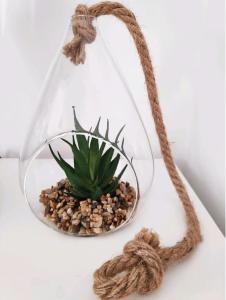 Stylish Master Suite + Private Bathroom + TV FREE Parking Pet Friendly