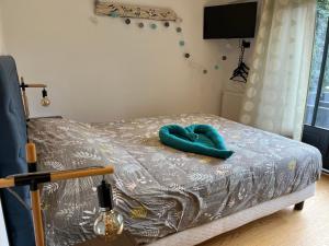 B&B / Chambres d'hotes Le P’tit Bois Dore : photos des chambres