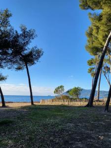 Appartements Charmant studio entre mer et foret : photos des chambres