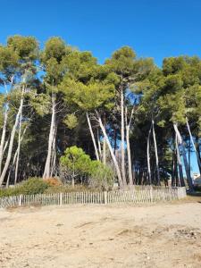 Appartements Charmant studio entre mer et foret : photos des chambres