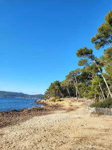 Appartements Charmant studio entre mer et foret : photos des chambres