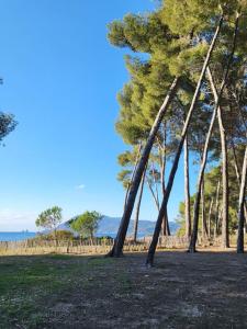 Appartements Charmant studio entre mer et foret : photos des chambres