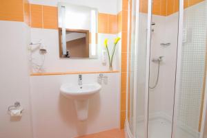 Wellness Hotel Frymburk