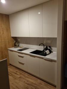 Krásný apartman s vybavením a bezplatným parkovanim