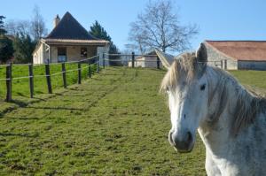 Maisons de vacances Chez Jacquou : photos des chambres